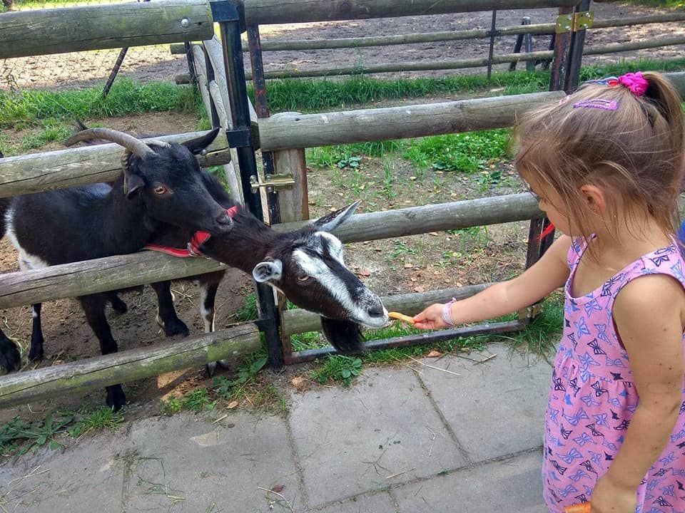 Rodzinne wakacje w Bojanowie powoli dobiegają końca
