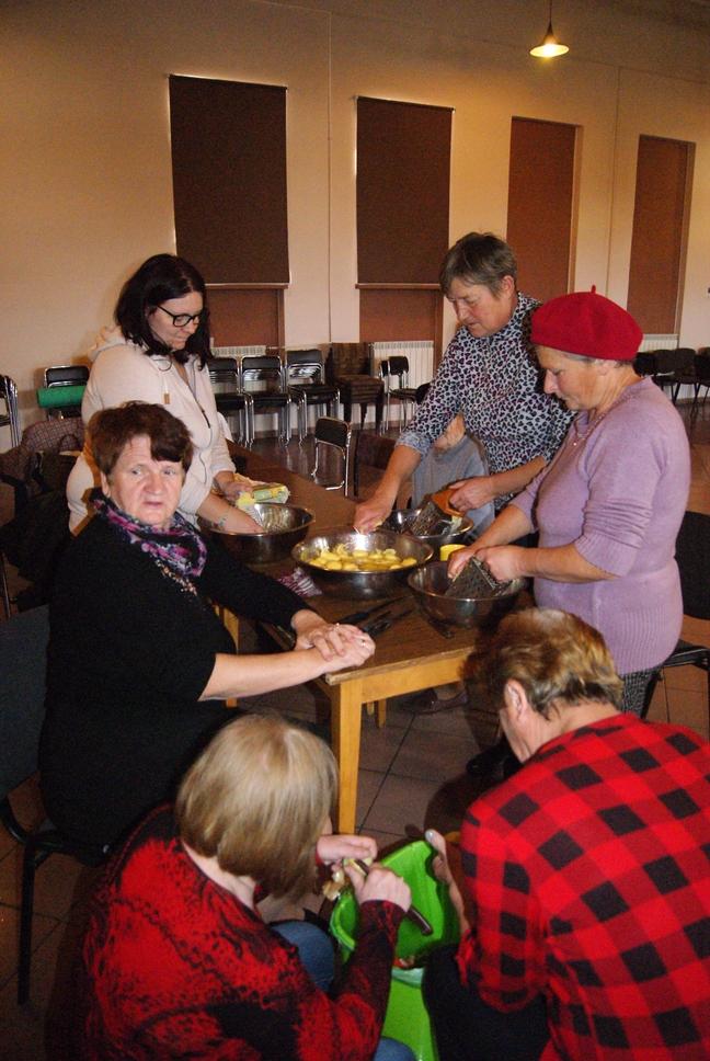 Podsumowanie realizacji Warsztatów w ramach Działań Towarzyszących – płatnych – Podprogram 2018 25.06.2019 r.