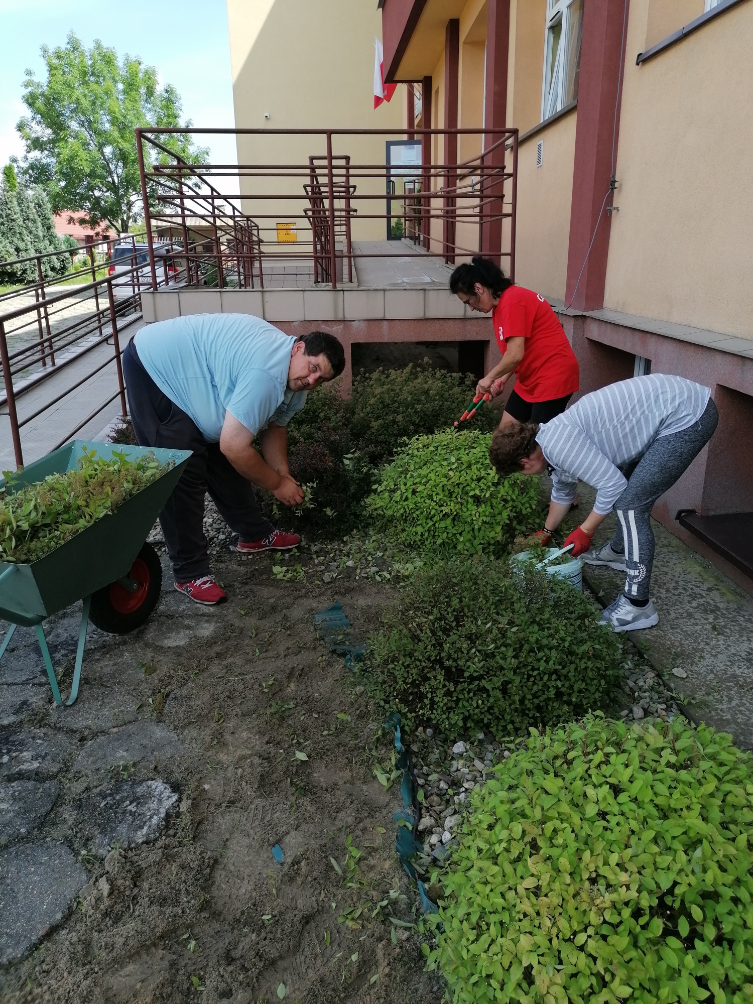 Trening umiejętności praktycznych – hortikuloterapia w ŚDS
