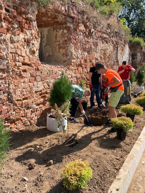 Terapeutyczny ogród przy murze