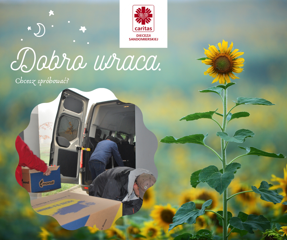 Dobro wraca