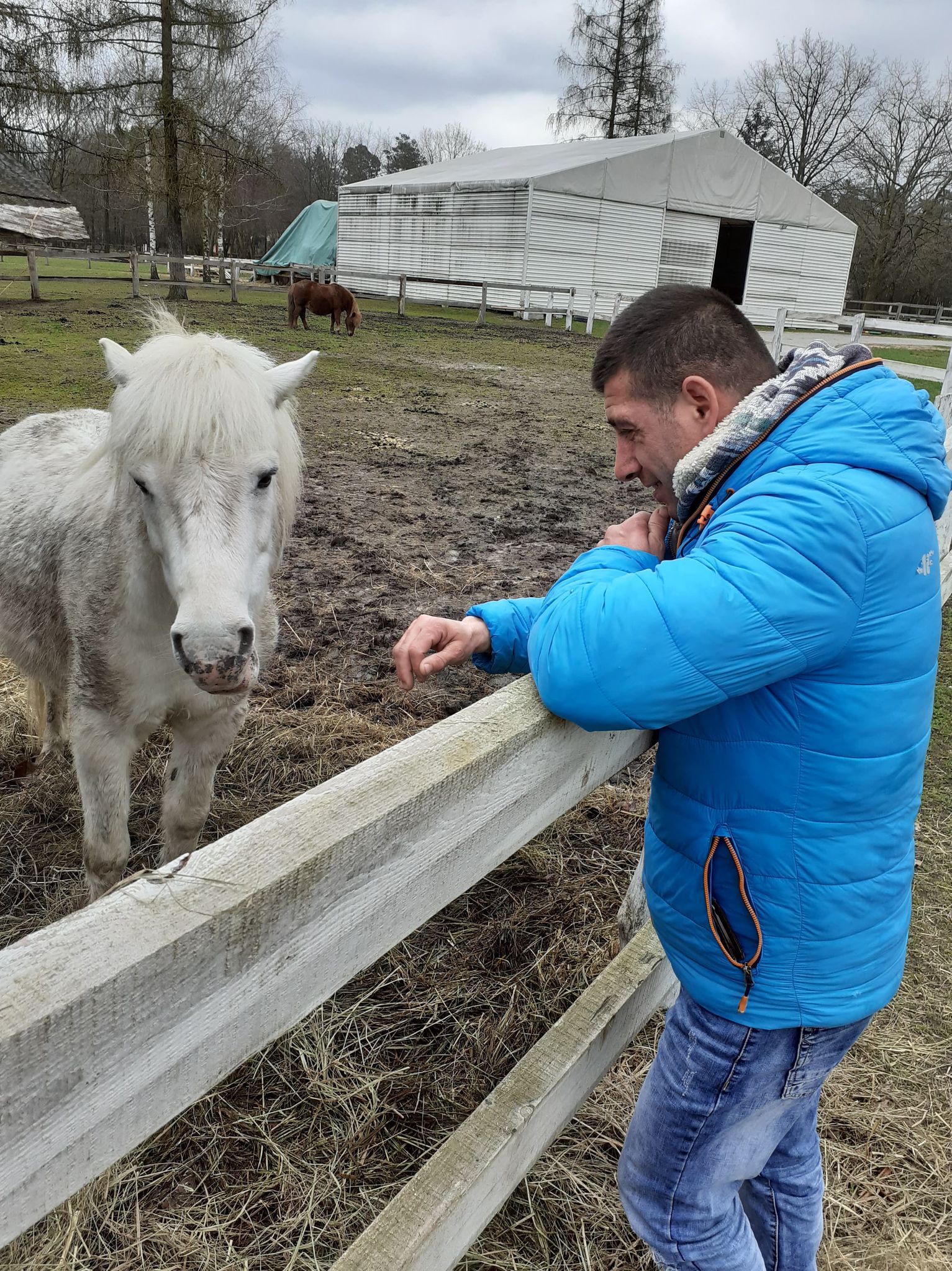 Niezawodna pomoc Asystenta