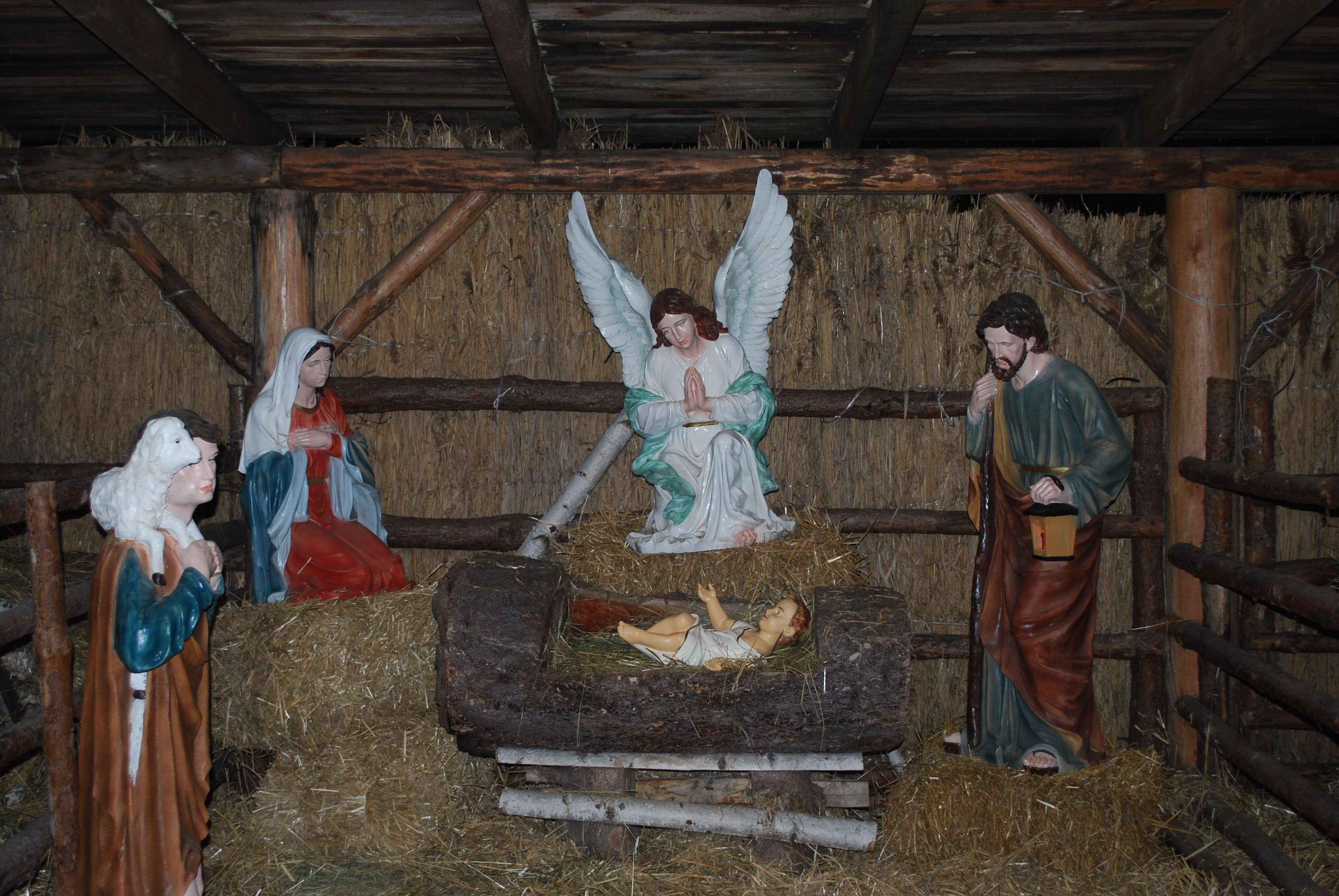 Żywa Szopka w Caritasie