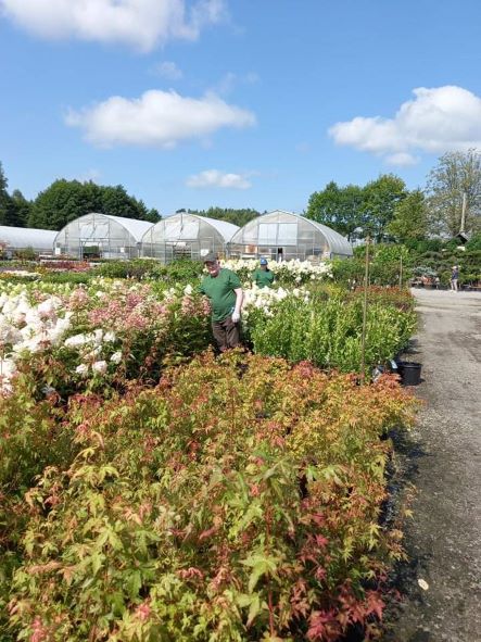 Warsztaty ogrodnicze