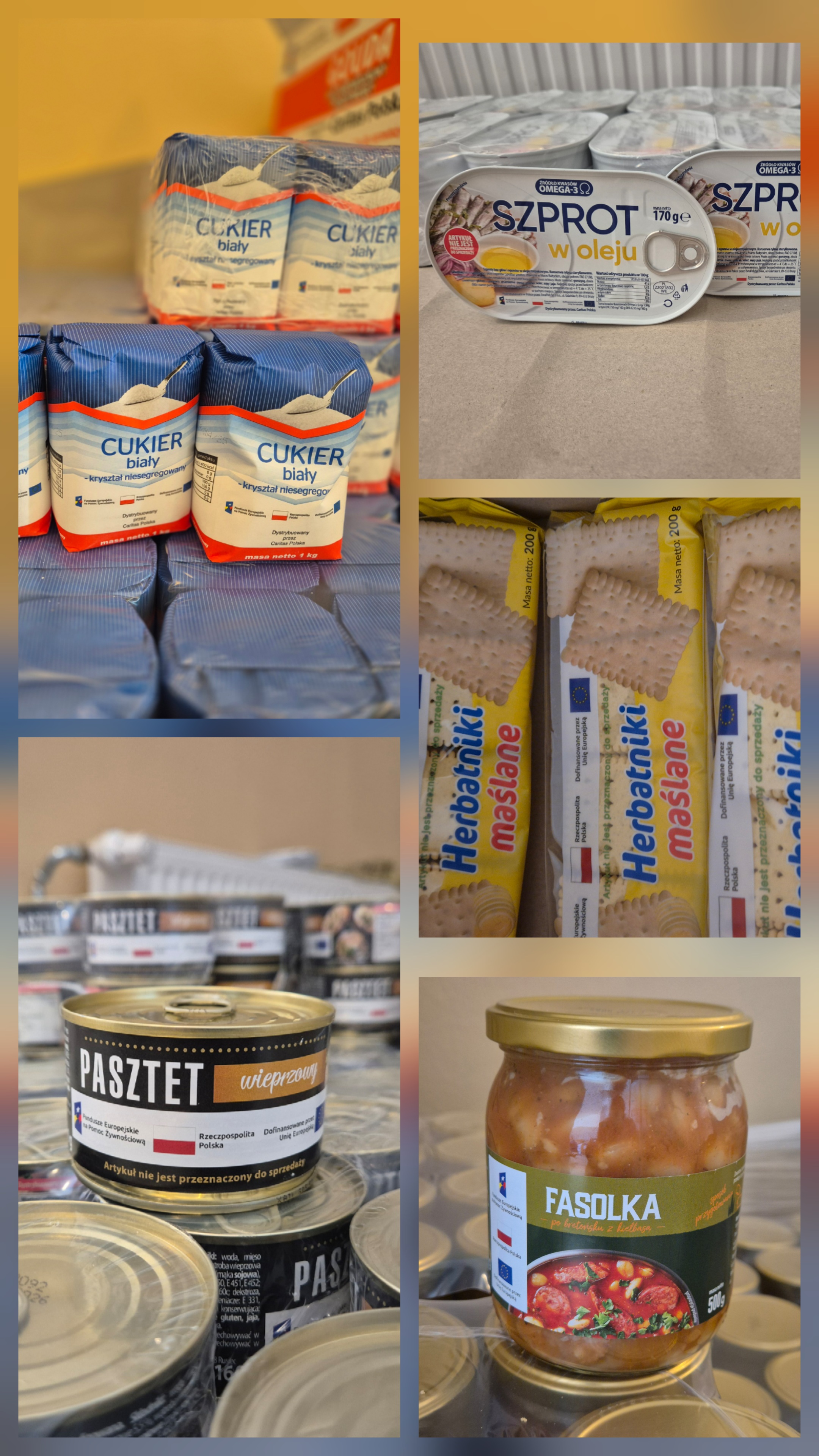 PODSUMOWANIE REALIZACJI FEPŻ  - PODPROGRAM 2024