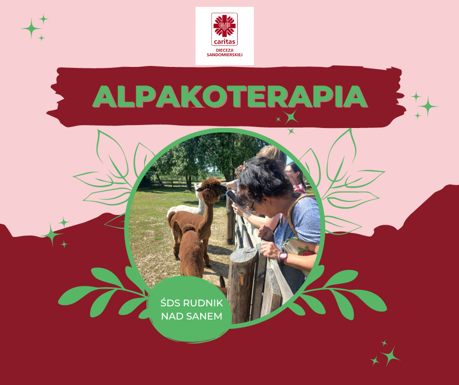 Alpakoterapia uczestników ŚDS w Rudniku nad Sanem