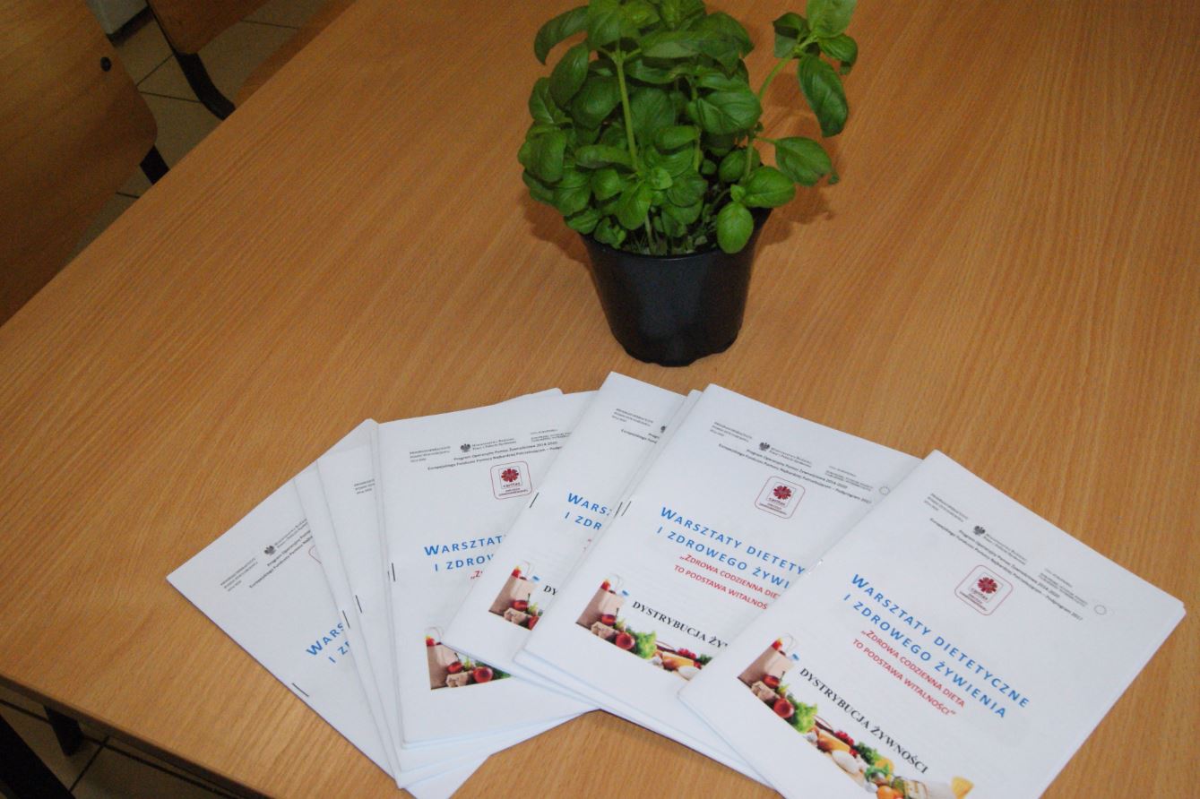 Podsumowanie realizacji Warsztatów w ramach Działań Towarzyszących – Podprogram 2017  30 maj 2018 r.