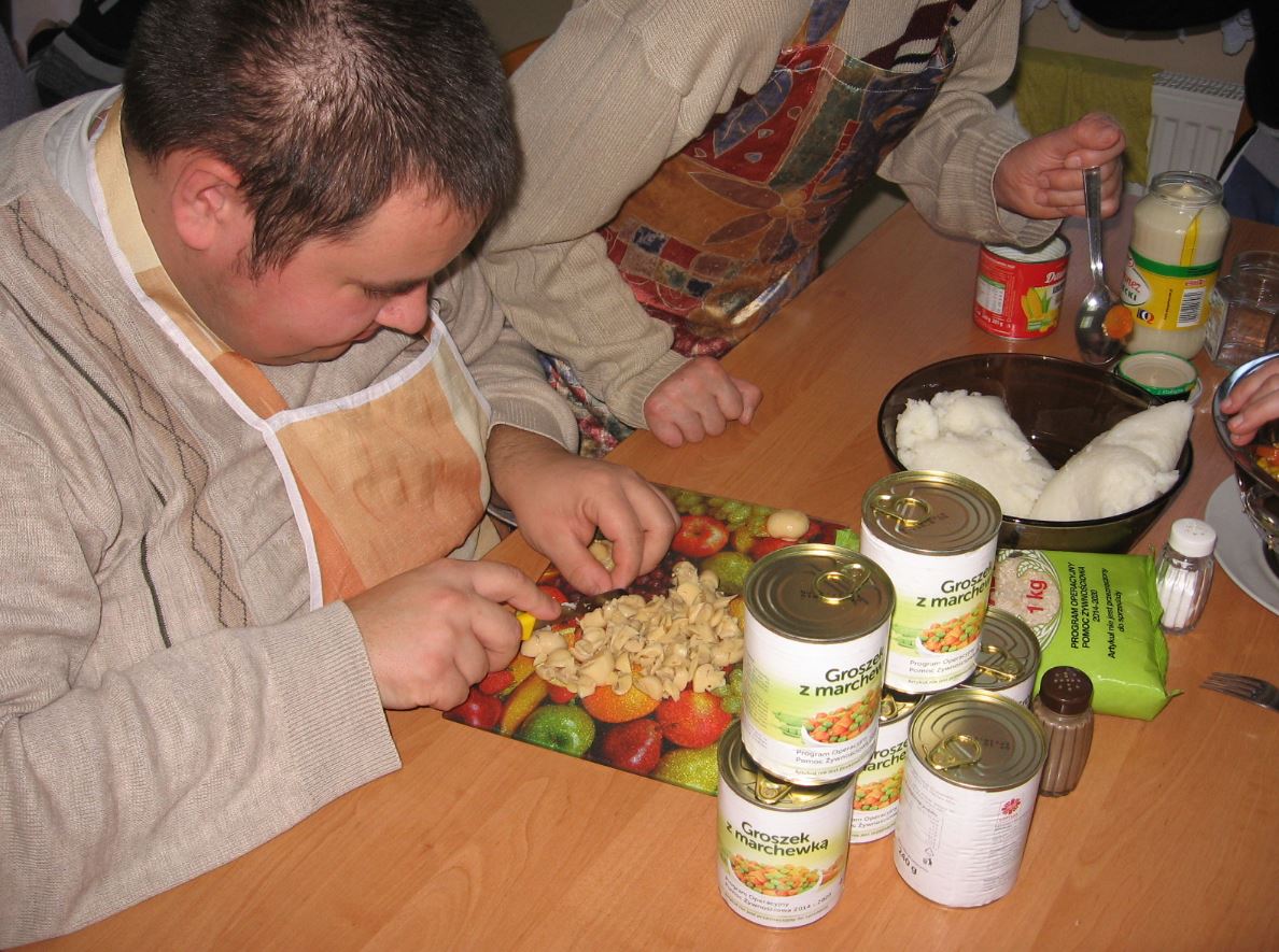 Podprogram 2017 – podsumowanie realizacji  2 lipiec 2018 r.